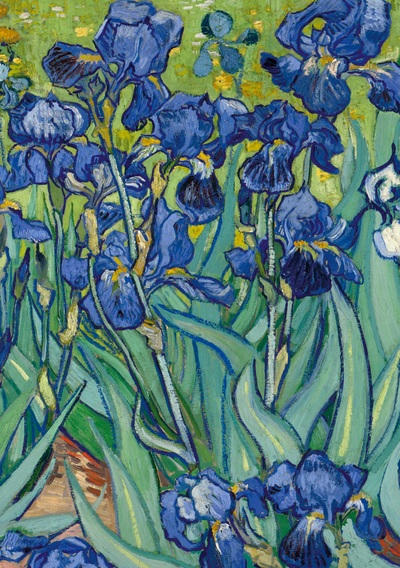 Picture of Notizbuch A5 blanko Hardcover - 100 Seiten - Motiv Schwertlilien (Irises) Vincent van Gogh - 90g/m² - FSC Papier