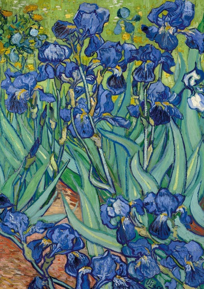 Picture of Notizbuch A4 blanko Softcover - Motiv "Schwertlilien" (Irises) Vincent van Gogh - 100 Seiten - FSC Papier