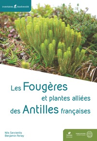Image de Les Fougères et plantes alliées des Antilles françaises