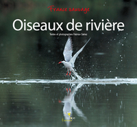Picture of OISEAUX DE RIVIERE