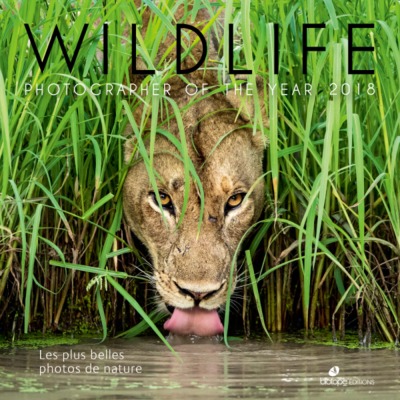 Picture of Wildlife photographer of the year 2018