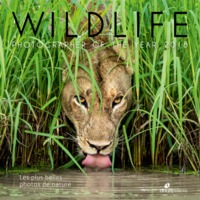 Picture of Wildlife photographer of the year 2018