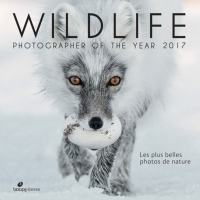 Image de Wildlife photographer of the year 2017