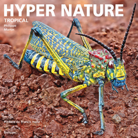 Picture of HYPER NATURE - TROPICAL