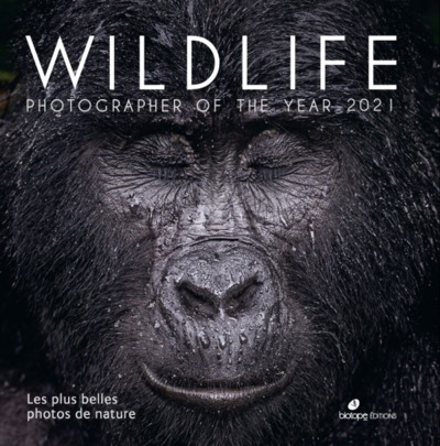 Picture of Wildlife Photographer of the Year 2021