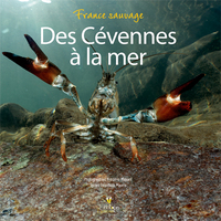 Picture of DES CEVENNES A LA MER