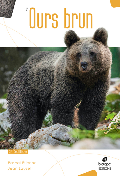 Picture of L'Ours Brun