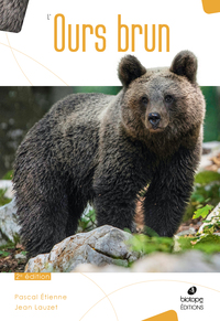 Picture of L'Ours Brun