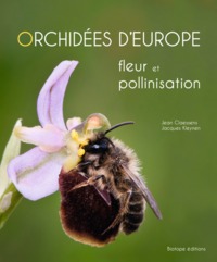 Picture of Orchidées d'Europe fleur et pollinisation