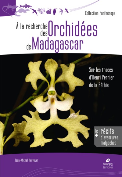 Picture of À la recherche des orchidées de Madagascar
