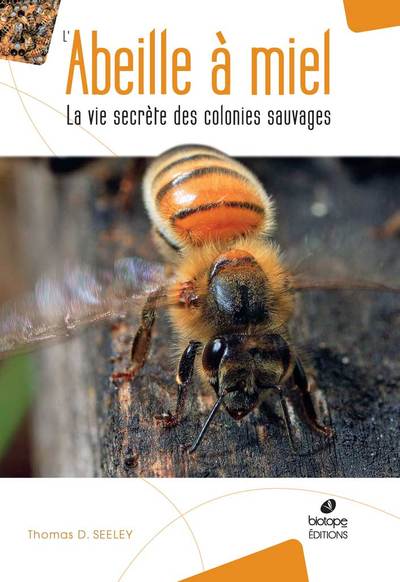 Picture of L'abeille a miel