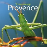 Picture of PROVENCE