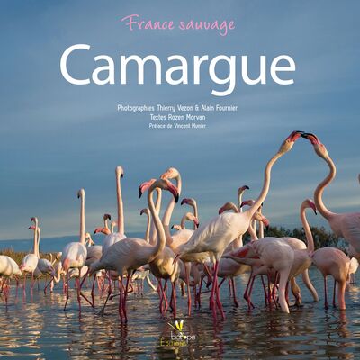 Picture of CAMARGUE