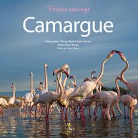 Picture of CAMARGUE