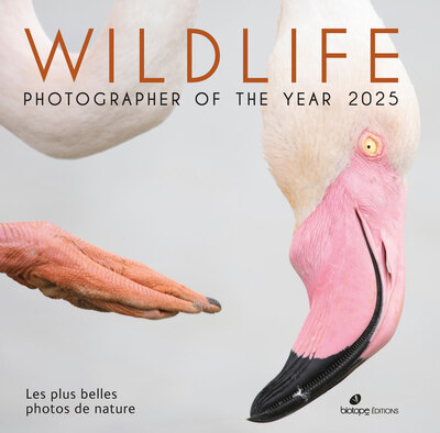 Picture of Wildlife Photographer of the Year 2025