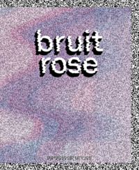 Picture of Bruit rose - exposition du 13 avril au 13 juin 2024, [Paris], Topographie de l'art