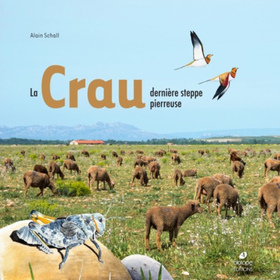 Image de La Crau, dernière steppe pierreuse