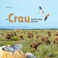 Image de La Crau, dernière steppe pierreuse