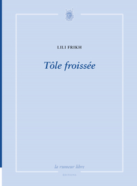 Picture of Tôle froissée