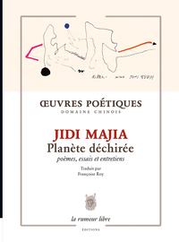 Picture of Planète déchirée