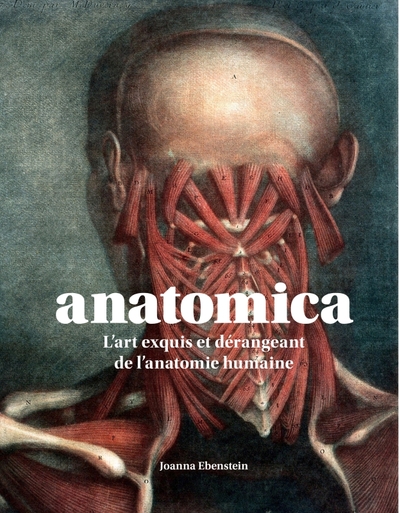 Picture of Anatomica