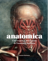 Picture of Anatomica