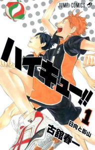 Image de HAIKYU 1 (MANGA VO JAPONAIS)