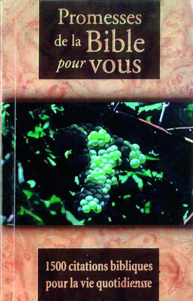 Image de Promesses de la Bible pour Vous