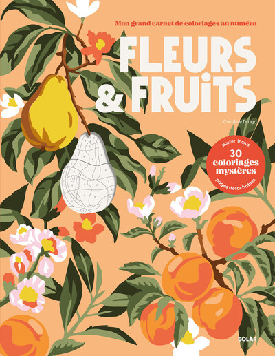 Picture of Fleurs et fruits - Coloriages Mystères