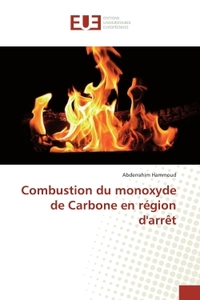 Picture of Combustion du monoxyde de Carbone en région d'arrêt