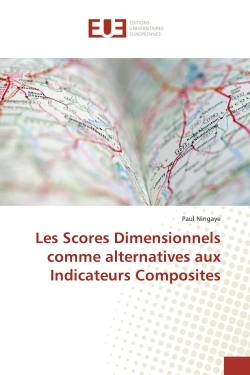 Picture of Les Scores Dimensionnels comme alternatives aux Indicateurs Composites