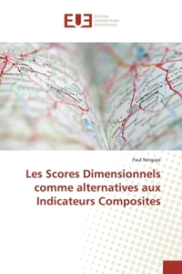 Picture of Les Scores Dimensionnels comme alternatives aux Indicateurs Composites