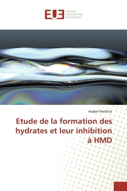Picture of Etude de la formation des hydrates et leur inhibition à HMD