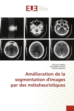 Picture of Ame lioration de la segmentation d'images par des me taheuristiques