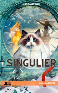 Image de Singulier
