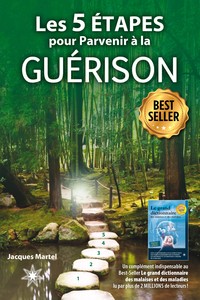 Picture of Les 5 étapes pour parvenir à la guérison