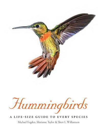 Picture of Hummingbirds A Life-Size Guide to Every Species /anglais