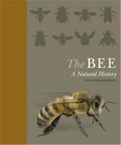 Picture of The Bee A Natural History /anglais
