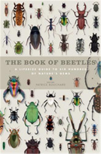 Picture of The Book of Beetles /anglais