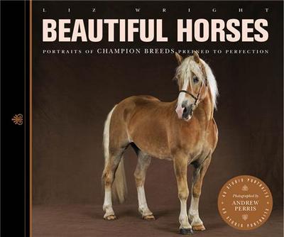 Picture of Beautiful Horses /anglais