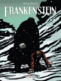 Image de Frankenstein, de Mary Shelley T03