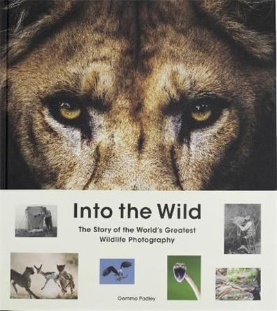 Image de Into the Wild /anglais