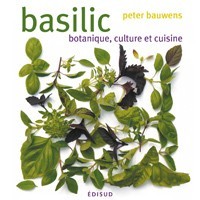 Image de BASILIC BOTANIQUE CULTURE ET CUISINE