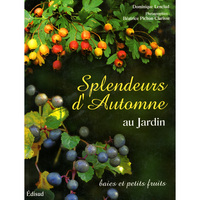 Image de Splendeurs d'automne au jardin - baies et petits fruits