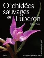 Image de Orchidées sauvages du Lubéron