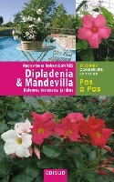 Image de Dipladenia & Mandevilla