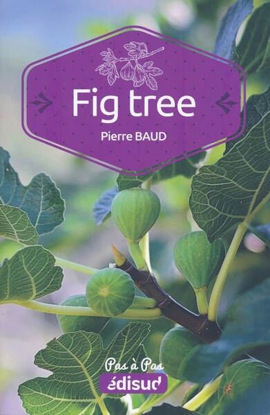 Image de FIG TREE PAS A PAS