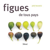 Image de FIGUES DE TOUS PAYS