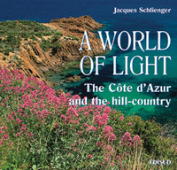 Picture of WORLD OF LIGHT A