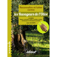 Image de Reconnaître et lutter contre les ravageurs de l'olive